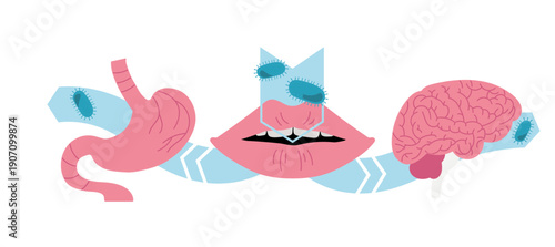 Illustration pédagogique sur la santé bucco-dentaire et la prévention des problèmes dentaires et gingivaux