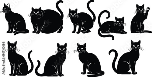 Black cats in various poses on white background cat silhouettes feline cat poses 1 animal black and white