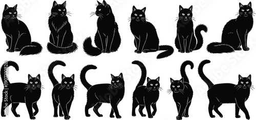 Black cats in various poses on white background cat silhouettes feline cat poses 2 sitting cats