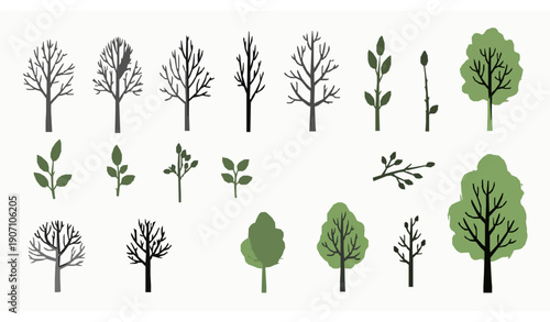 Hand Drawn Flat Tree and Leaf Vector Set with Bare and Green Botanical Elements on White Background