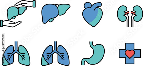 Medical Organ and Healthcare Icon Collection Flat Vector Illustration Isolated on White Background