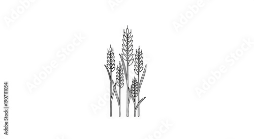 Stylized sketch of five wheat stalks with leaves