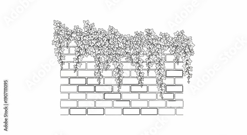 Stylized sketch of ivy vines cascading down a brick wall