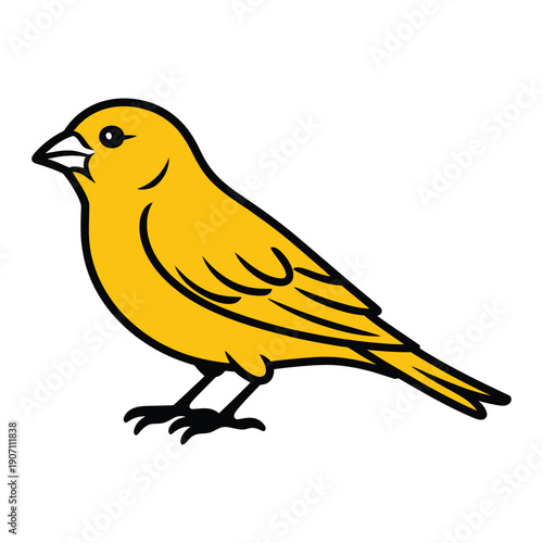 Yellow canary bird cartoon illustration