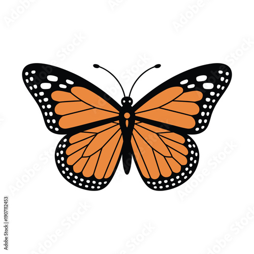 Monarch butterfly illustration with orange and black wings, detailed wing pattern, insect closeup, nature icon