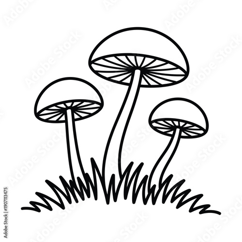 Three simple line art mushrooms growing in grass, black and white outline drawing, coloring page style