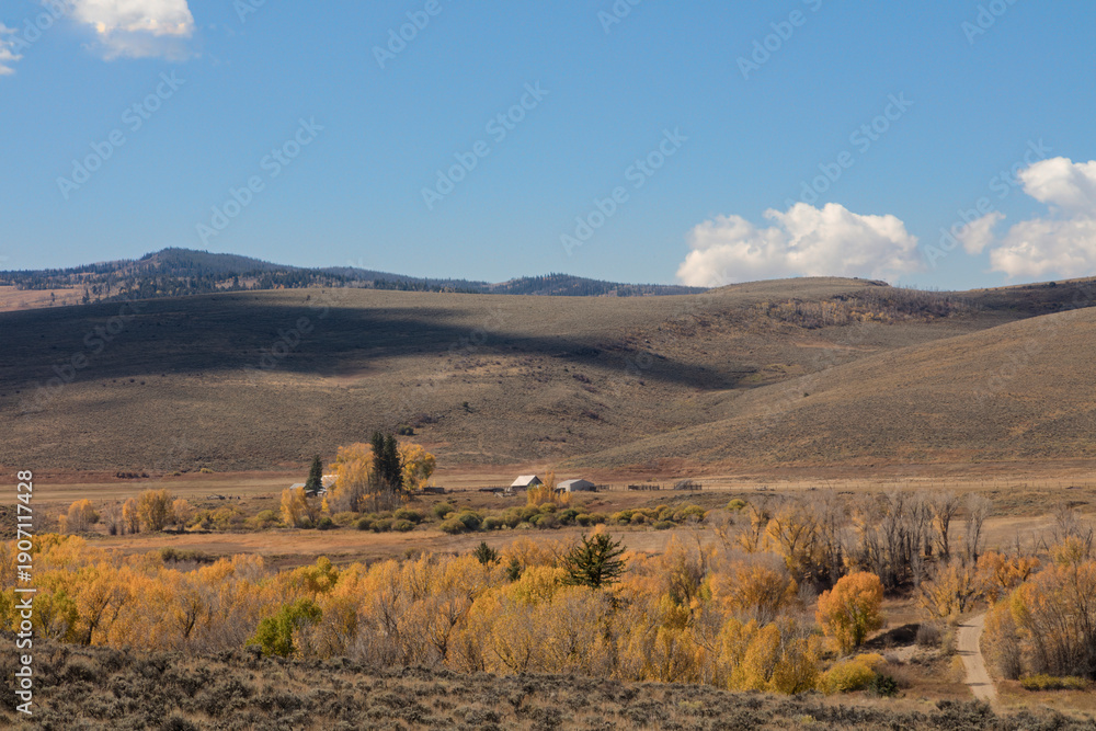 Naklejka premium Remote Valley Ranch Road Landscape with Cottonwood Trees