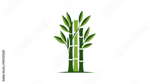 A stylized illustration features three bamboo stalks with leaves, in various shades of green