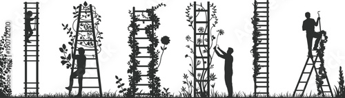 Black silhouette illustration of people on ladders gardening and pruning climbing plants and flowers in a garden row isolated on a white background