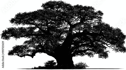 A large, detailed silhouette of a tree, encompassing a wide, leafy canopy and thick trunk