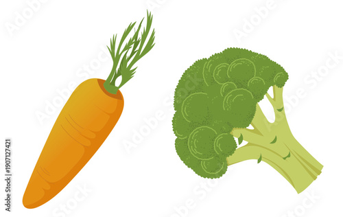 Aliments sains pour la santé bucco-dentaire et la prévention des problèmes dentaires