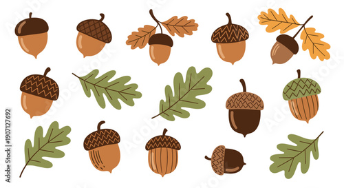Detailed set of hand drawn acorns and oak leaves in warm autumn colors, perfect for seasonal fall and thanksgiving decor.