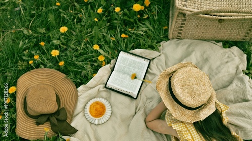 Photos Relaxing summer picnic with book and hat on a grassy field with dandelions