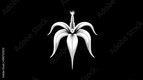 A grayscale, symmetrical floral illustration with elongated petals emanating from a central point