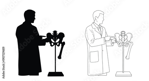 Doctor presenting a skeletal model of the pelvis and femur bones