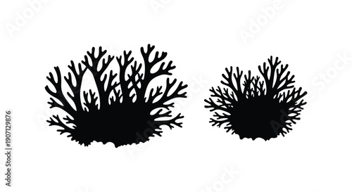 Two black coral formations against a white background