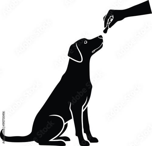 A collection of various wild animals in their natural habitat including mammals and birds for nature conservation and educational purposes.