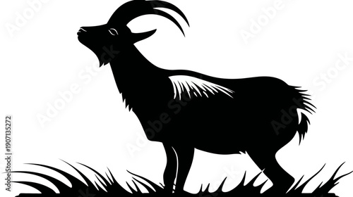 A black silhouette of a goat looking upwards, standing on grass. Horns, beard, fur detail
