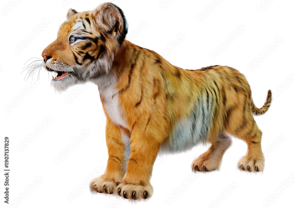 Obraz premium 3D Rendering Tiger Cub on White