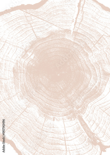 texture de cernes de bille de bois