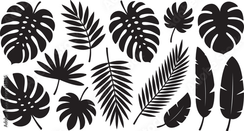 tropical leaf silhouette icon set black shapes, botanical jungle leaf symbols isolated, nature foliage graphic elements