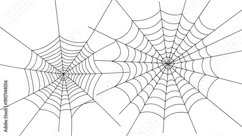 Minimalist line drawing of two delicate spider webs of different sizes spread across a white background for spooky designs.