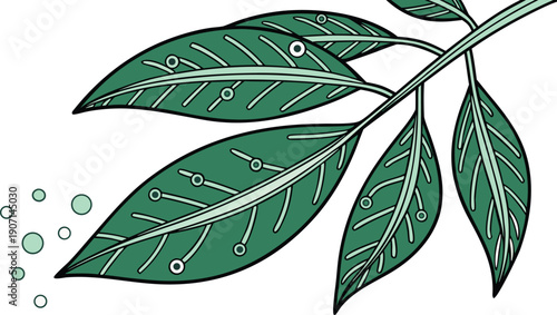 Beautiful green leaves with water drops on branch, symbolizing freshness and nature