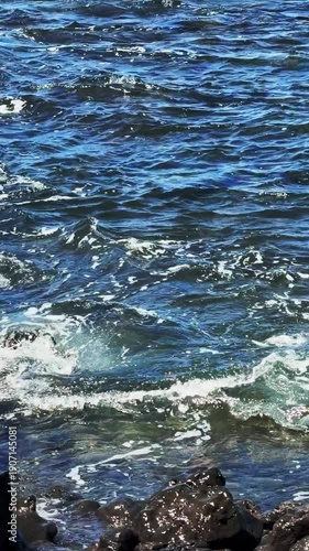 Maui's black stone rocky coastline that drops into crystal clear turquoise waters where green sea turtles can be seen