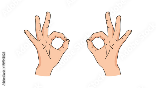 Two human hands showing okay gesture with thumbs and index fingers touching to form a circle symbolize approval and success.