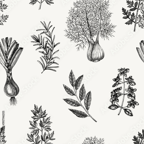 Herbal pattern in botanical engraving style. Vintage backgorund with culinary herbs and aromatic plants hand drawn vector illustrations. NOT AI generated