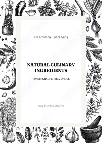 Hand-drawn culinary frame with herbs and spices vector illustrations. Aromatic cooking ingredients design template in sketch style. NOT AI generated