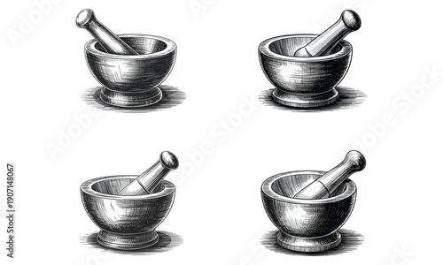 Mortar and pestle engraving style illustration isolated on white

