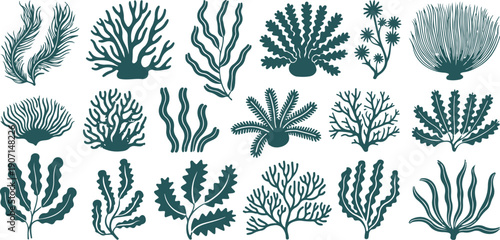 Seaweed & Coral Silhouette Vector Set  Underwater Marine Plants