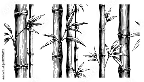 Detailed illustration of bamboo stalks and leaves in traditional ink sketch style