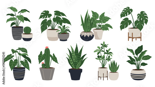 Large set of indoor houseplants in different decorative ceramic pots including monstera and various succulents for decor.