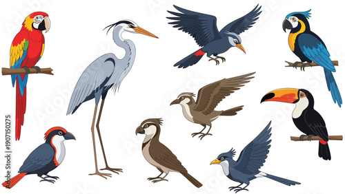 Diverse collection of colorful tropical and wild birds in various poses including parrot and toucan for nature concepts.