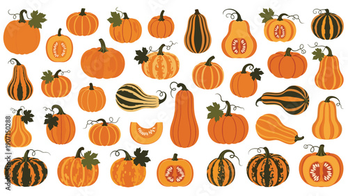 Large assortment of various pumpkins and squashes in different shapes and colors representing autumn harvest and fall.