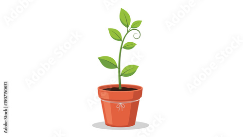 Small green sapling with several leaves growing from a terracotta pot representing growth and environmental care.