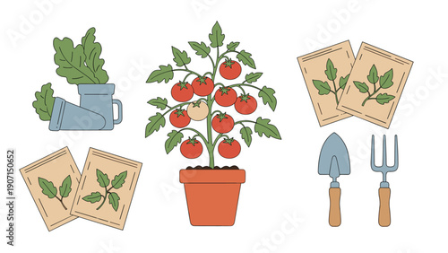 Comprehensive gardening set featuring a potted tomato plant, seed packets, and essential hand tools for planting.