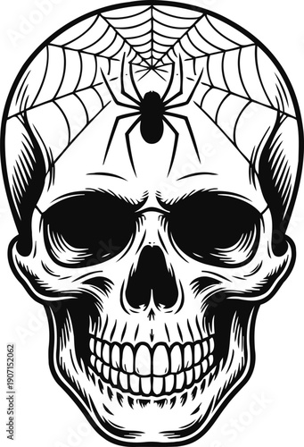Skull with spider and web design gothic creepy human skeleton head with arachnid on top horror and halloween illustration