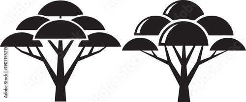 Tree silhouette two black acacia nature plant