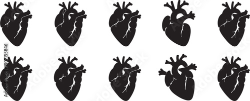 Anatomical Heart Silhouette Vector Set Medical and Cardiovascular Icons
