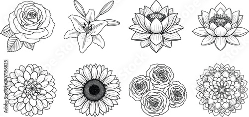 Hand drawn floral line art set with rose, lily, lotus, sunflower and mandala flowers, black and white botanical illustration
