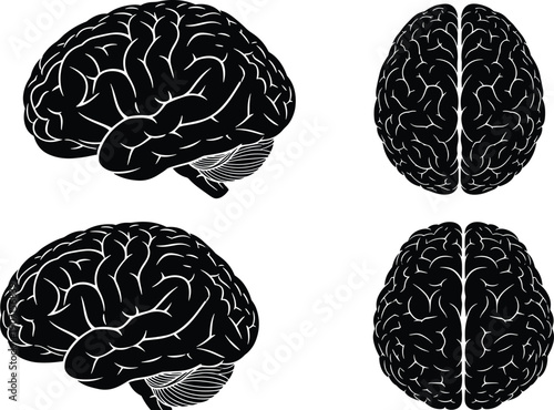Human brain anatomy illustration set in black silhouette style, detailed medical vector icons showing side and top views isolated