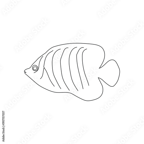 Elegant Fish Line Sketch Minimal Outline Illustration.