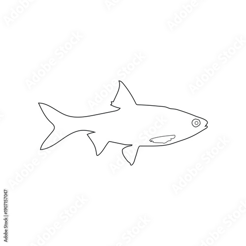 Elegant Fish Line Sketch Minimal Outline Illustration.