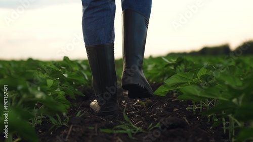 Принти на полотні Agriculture, Rural boots pressing into dark soil, Healthy field with promising f