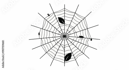 Intricate spider web with delicate leaves and small insects on a white background