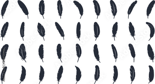Black feathers scattered on white background for design