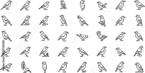 Collection of various bird illustrations in different poses